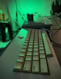77.&nbsp;rgb-202602 [14-56]
